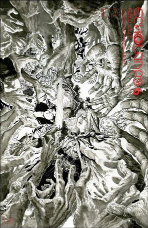 Echolands issue 6-C J.H. Williams III Raw Cut Edition Cover