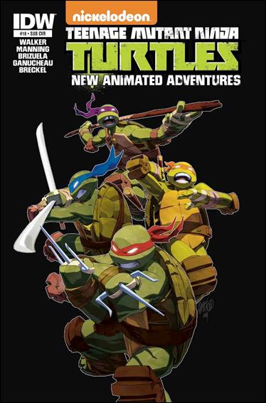 Teenage Mutant Ninja Turtles New Animated Adventures issue 18-B Jeffrey Cruz Subscription Cover
