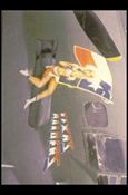Vintage Aircraft Nose Art (Base Set) card 3 Texas Raiders