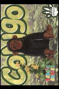Beanie Babies Series 4 (Base Set) card 173 Congo