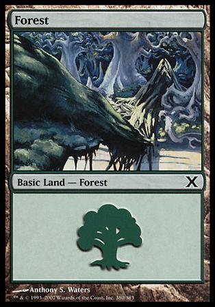 Magic the Gathering: 10th Edition (Base Set) card 380 Forest