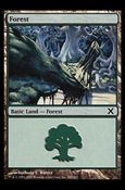 Magic the Gathering: 10th Edition (Base Set) card 380 Forest