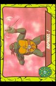 Teenage Mutant Hero Turtles (Ireland) (Base Set) card 17 Raphael!