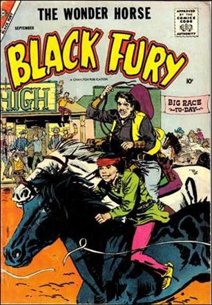 Black Fury issue 15
