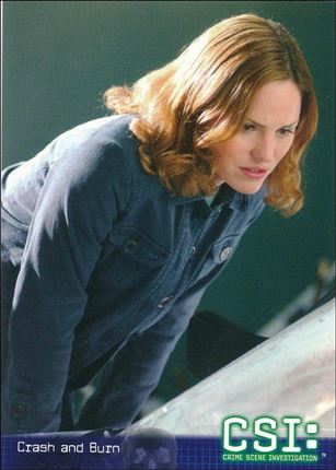 CSI: Crime Scene Investigation - Series Two (Base Set) card 18 Crash and Burn