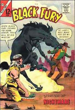 Black Fury issue 41