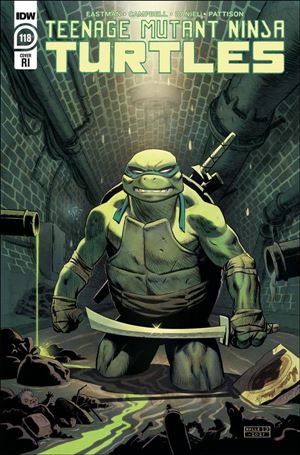Teenage Mutant Ninja Turtles (2011) issue 118-C Karl Johnsson 1:10 Cover