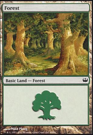 Magic the Gathering: Duel Decks: Knights vs. Dragons (Base Set) card 44 Forest