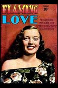Flaming Love issue 2 Photo Cover