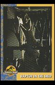 Jurassic Park (Base Set) card 53 Raptor in the Shed