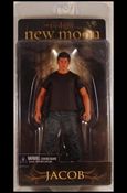 Twilight: New Moon figure 4 Jacob