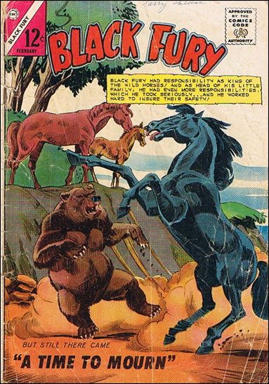 Black Fury issue 51