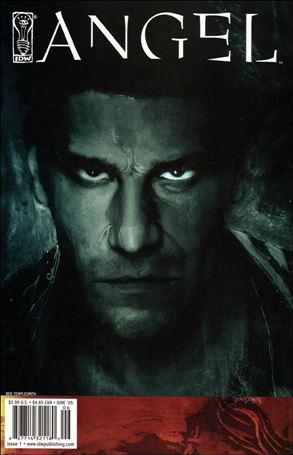 Angel: The Curse issue 1-B Ben Templesmith Cover