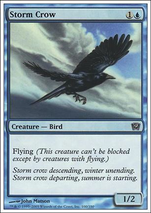 Magic the Gathering: 9th Edition (Base Set) card 100 Storm Crow