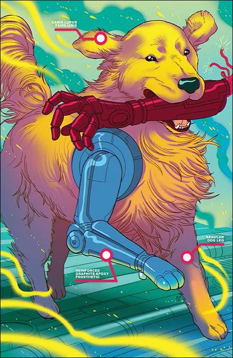 Man's Best issue 3-C Paulina Ganucheau Virgin 1:25 Cover