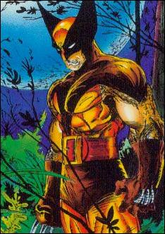 Spider-Man: The McFarlane Era (Base Set) card 49 Wolverine
