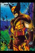 Spider-Man: The McFarlane Era (Base Set) card 49 Wolverine
