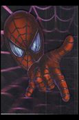 Spider-Man: The Movie (Spidey Hologram Subset) Cover Image 2
