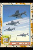 Desert Storm: Series 2 (Base Set) card 113 Wild Weasel