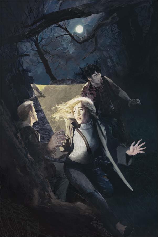 Nancy Drew and the Hardy Boys: The Big Lie issue 4-D Fay Dalton 1:20 Virgin Cover