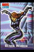 Marvel Legends (Base Set) card 13 Black Widow