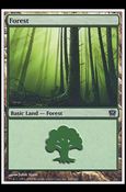 Magic the Gathering: 9th Edition (Base Set) card 348 Forest