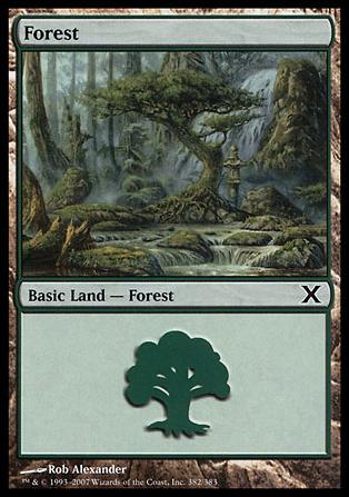 Magic the Gathering: 10th Edition (Base Set) card 382 Forest