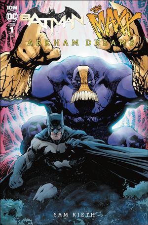 Batman/The Maxx: Arkham Dreams issue 1-D Jim Lee 1:25 Cover