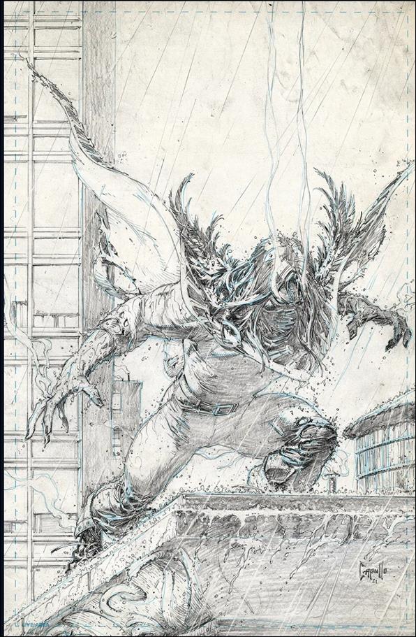 Vanish issue 1-ZD Greg Capullo 1:200 Raw Cover