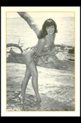 Bunny Yeager's Bettie Page (Base Set) card 19