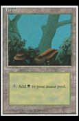 Magic the Gathering: 4th Edition (Base Set) card 368-C Forest