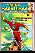 Young Marvelman issue 319