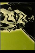 Star Wars Galaxy: Series 4 (Foil Subset) card 13-C Gold Foil 1/500