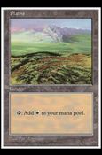 Magic the Gathering: 5th Edition (Base Set) card 430-D Plains