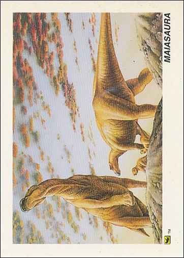 DinoCardz (Base Set) card 38 Maiasaura