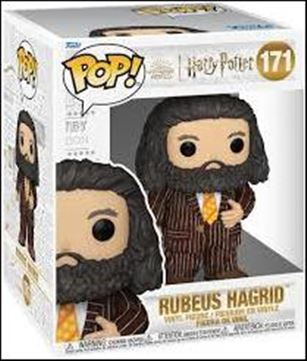 POP! Harry Potter figure 171 Rubeus Hagrid