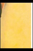 Art of Curves (Base Set) card PL1F Steppin' Out - Row 2 Column 3