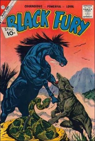 Black Fury issue 31