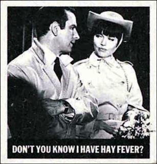Get Smart (Base Set) card 65 Don't You Know I Have Hay Fever?