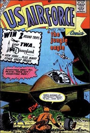 U.S. Air Force issue 9