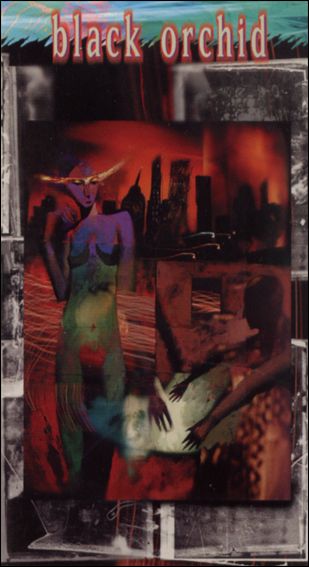 Vertigo Trading Cards (Base Set) card 36 Black Orchid #12