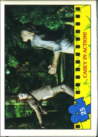 Teenage Mutant Ninja Turtles Movie (Base Set) card 25 Casey In Action!