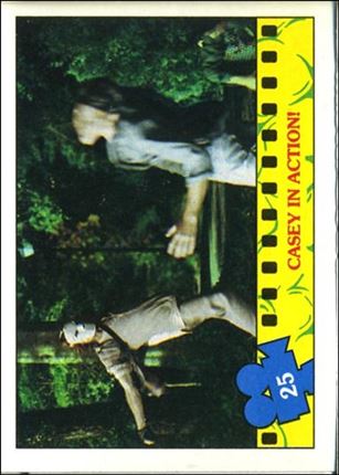 Teenage Mutant Ninja Turtles Movie (Base Set) card 25 Casey In Action!