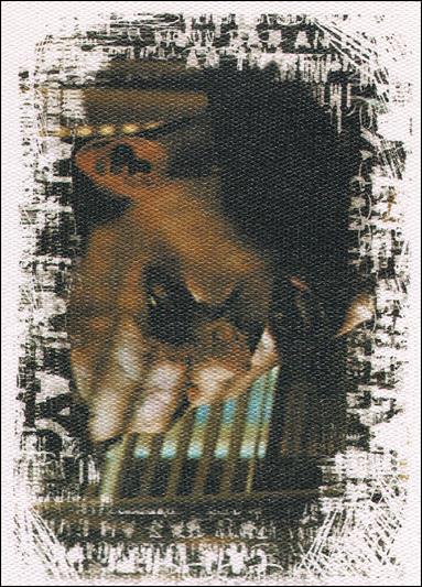 Buffy the Vampire Slayer Reflections: The High School Years (Base Set) card 46 Starcrossed
