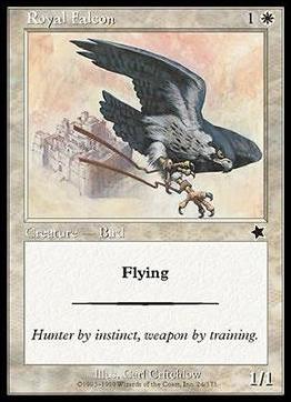 Magic the Gathering: Starter 1999 (Base Set) card 24 Royal Falcon