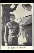 Gomer Pyle (Base Set) card 14 The Big Wind From Winnetka !