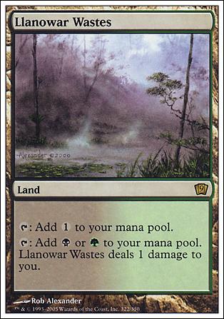 Magic the Gathering: 9th Edition (Base Set) card 322 Llanowar Wastes