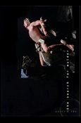 X-Files: Season 8 (The Search for Mulder Subset) Cover Image 1
