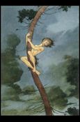 Charles Vess (Base Set) card 40 