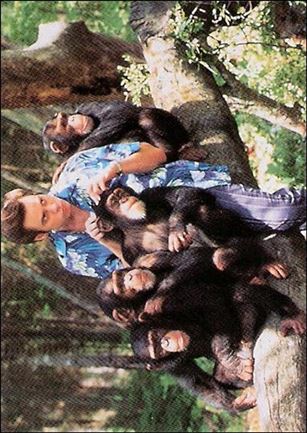 Ace Ventura: When Nature Calls (Base Set) card 51 Well-Groomed Pro